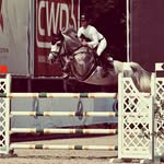 Wiegmann Anne - @anne_wiegmann - Instagram