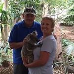 Anne Wigley - @wigleyanne - Instagram