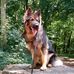 Anne Wilder - Facebook