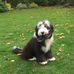Anne Wilding - Facebook