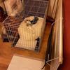 Anne Wilding - @anne.wilding - TikTok