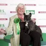 Ann Wildman - @wildaxrowendale_french_bulldog - Instagram