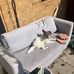 Anne Franny Wildman - Facebook
