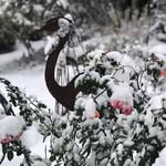 Anne Wildman - @anne_wildman - Instagram