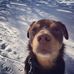 Anne Wiles - Facebook