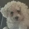 annewiles275 - @annewiles275 - TikTok