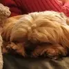 Kerry-Anne Wiles - @kerryanne.wiles - TikTok