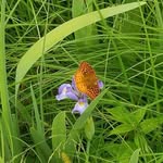 Anne Martin Willard - @annewillard38 - Instagram