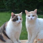 Anne Willard - @willard.anne - Instagram