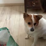 Anne Willem - @annewillem7 - Instagram