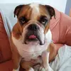 Anne Willer - @anne.willer - TikTok