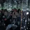 anniwillmann - @anniwillmann - TikTok