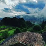 Anne Willner - @nomthibarxa1 - Instagram