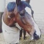 Anne winkel - @anne.insta123 - Instagram