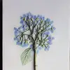 Anne Winkel - @anne.winkel - TikTok