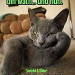 Anne Winkel - @winkel3078 - Instagram