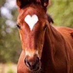 Anne Winkel - @winkel3179 - Instagram