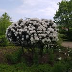Anne Witte - @annewitte62 - Instagram