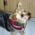 Anne Savran Wittman - Facebook