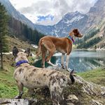 Anne Wolf - @eyra_kioto - Instagram
