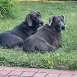 Anne Wolfe - @ajwolfe311 - Instagram