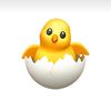 🐣 - @annewoo23 - TikTok