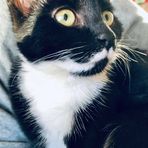 Anneke Brouwer - Facebook