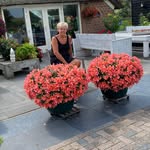 Anneke Vrieling-brouwer - @anneke.vrielingbrouwer.9 - Instagram