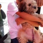 Annel Lopez Delgado - @annellopezdelgado - Instagram