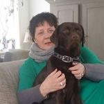 Annelies Jansen - @jansen.annelies - Instagram