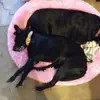annettabrown767 - @annettabrown767 - TikTok