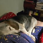 Annetta Dolowitz - @yrofrat - Instagram