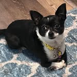 Annette Milhoan Goff - @netsyshel - Instagram