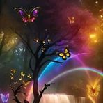Anita Netam - Facebook