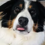 Annetta Putman - @my.maggie4 - Instagram