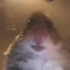 Annette Sargent - @asarge02 - TikTok