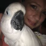 Annette Abbott - @mycrazycockatoo - Instagram