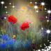 Annette Ackerman - Facebook