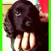 Annette Acton - @annette.acton - TikTok
