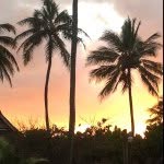 Annette Albert - @annetteralbert - Instagram