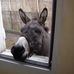 Annette Albertini - Facebook