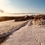 Annette Allen - @blackgill_lodge - Instagram