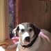 Annette Bailey - Facebook