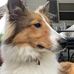 Annette Sue Bailey - Facebook