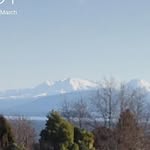 Annette ball - @freeballingnz - Instagram