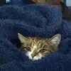 Annette Barber - @annette.barber89 - TikTok