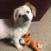 Annette Barnes - Facebook