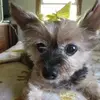 Annette Beach Luckey Richards - @annette.beach.luc - TikTok