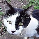 Annette Beck - @annette.beck.7777 - Instagram