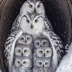 Annette Beebe - @annette.beebe.1 - Instagram